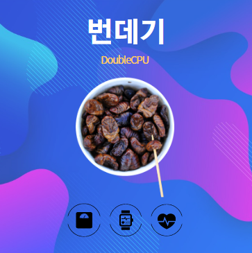 번데기 알아보기