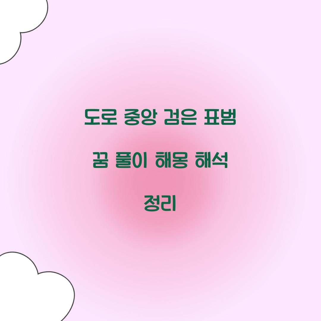 도로 중앙에 검은 표범이 있는 꿈 풀이 해몽 해석