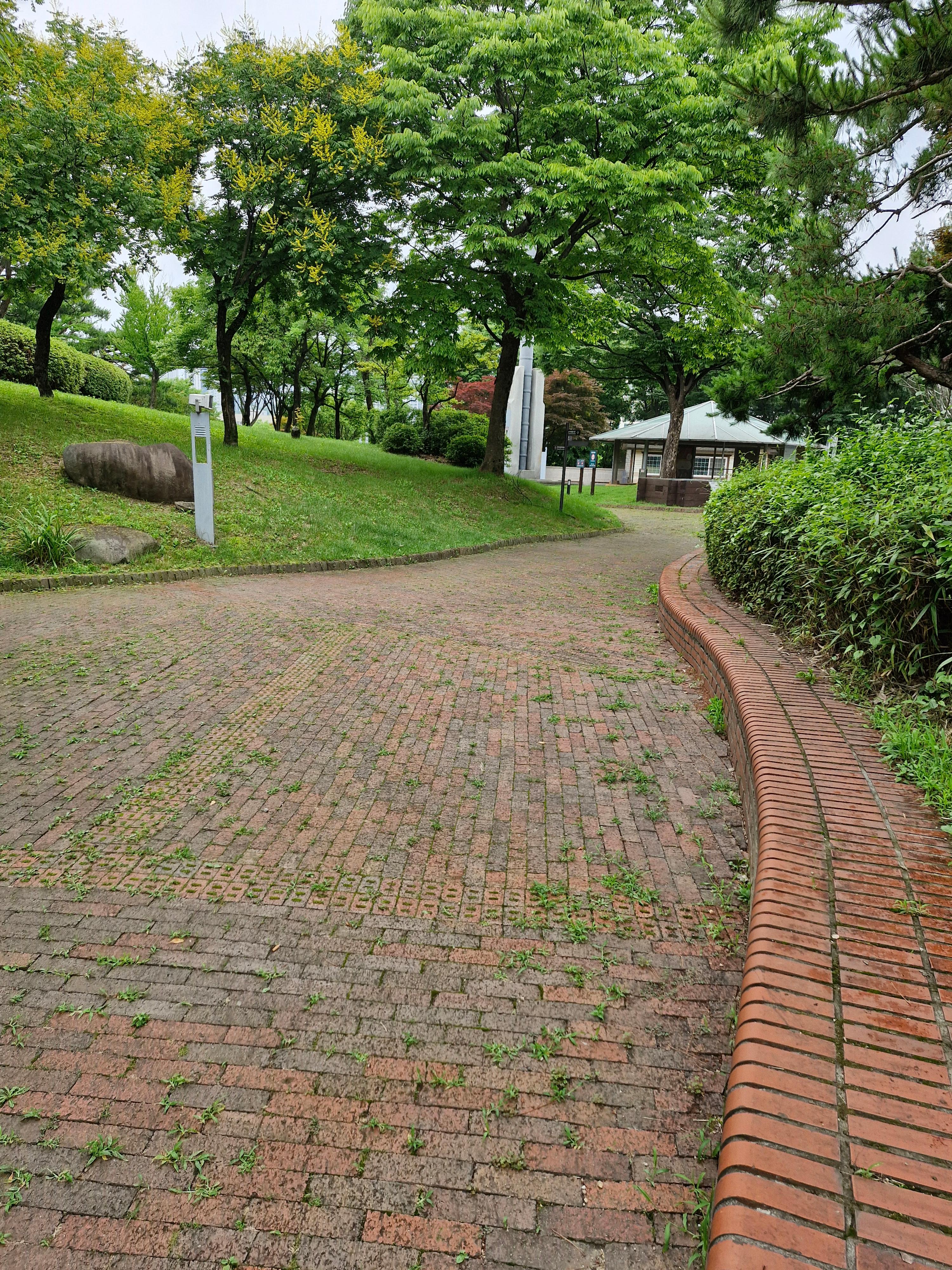 김호연 불편한 편의점