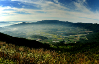 ๋๋ ๊ธธ ์์ฝ