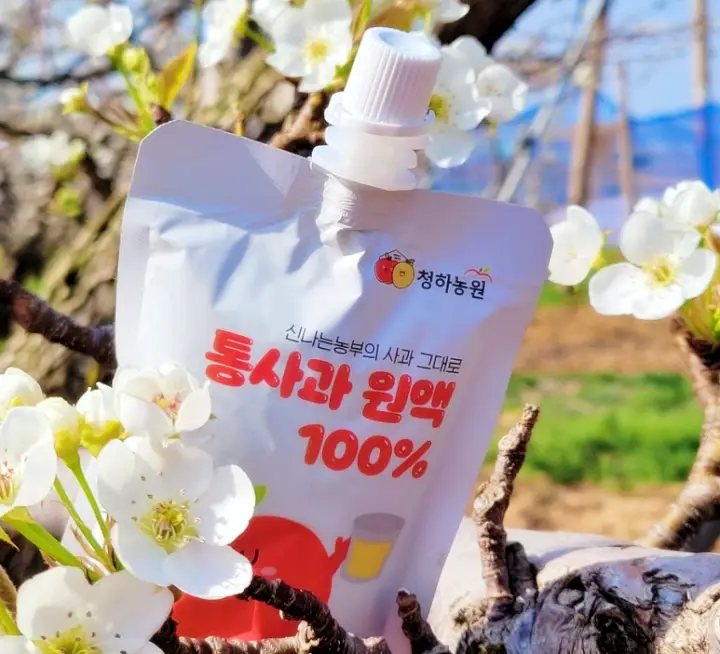 생방송오늘저녁 전북 김제 여행 추천 배꽃 배밭 사과꽃 축제 사과밭 플룻부는 신나는농부