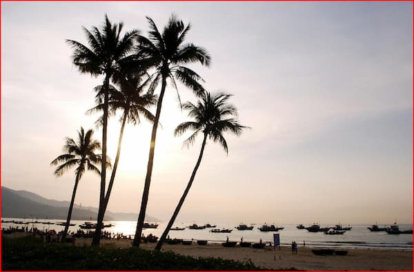 다낭 해변의 아침 야자수나무와 즐비하게 늘어선 어선들 과 어부들 -하루 시작과 함께 바쁘게 움직이는 어부들의 모습
