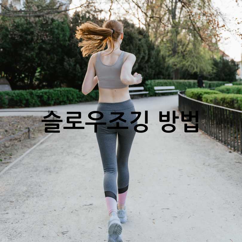 슬로우조깅방법