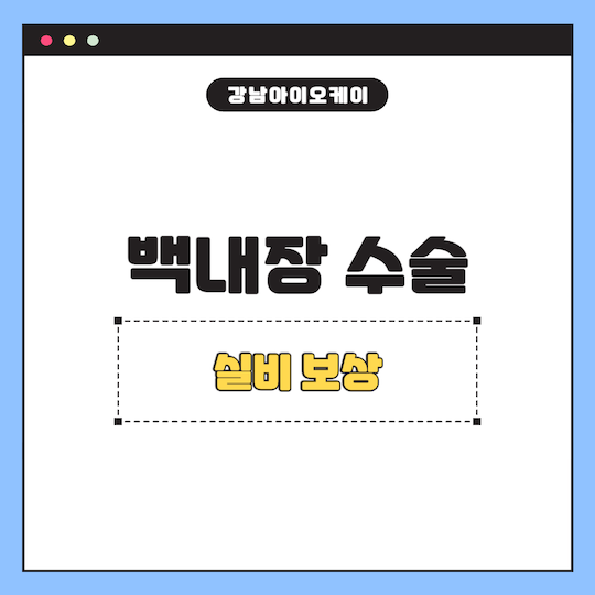 백내장-수술-실비