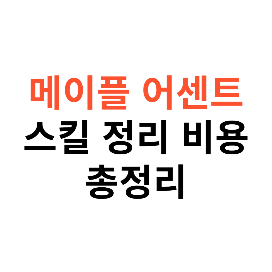 메이플 어센트 스킬 정리