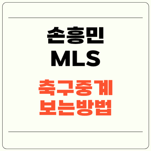 손흥민 축구중계