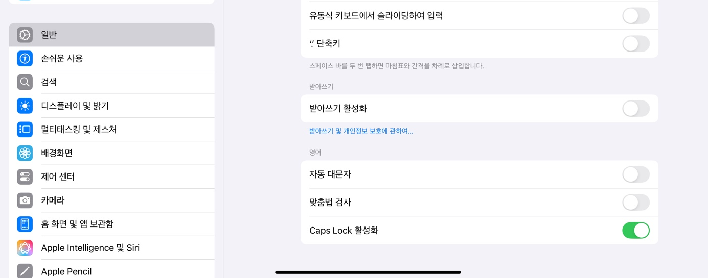 Caps Lock 활성화하기