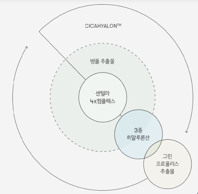 리들샷의 성분