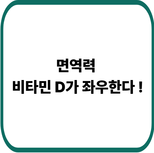 비타민 D 챙기면 면역이 바뀐다