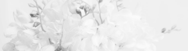 프리지아 꽃다발