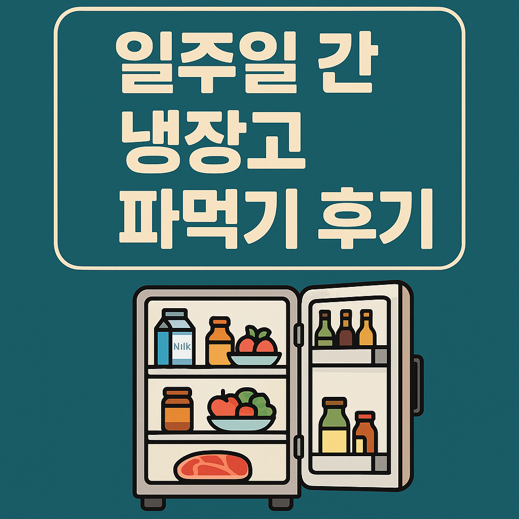 일주일 간 냉장고 파먹기 후기