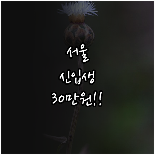 서울 지역 신입생 입학준비금 20만원..