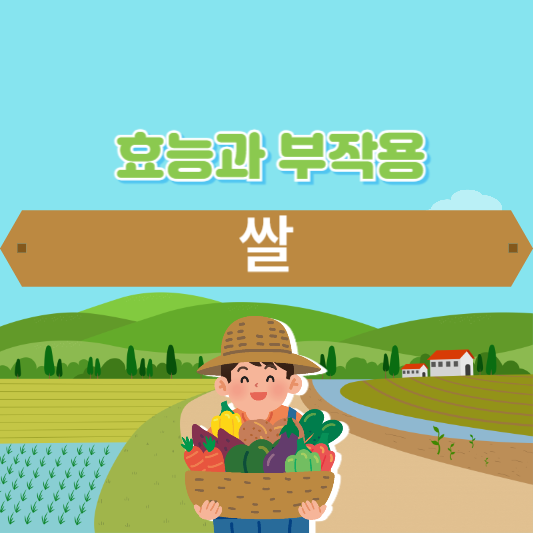 쌀의 효능과 부작용