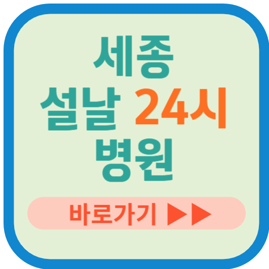 세종시 설날 24시 병원