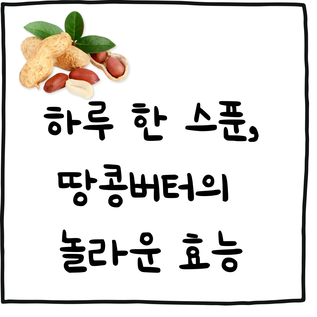 땅콩버터 효능