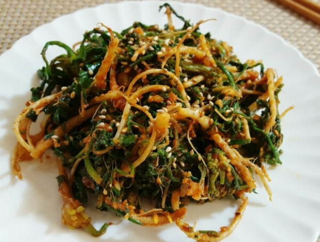 생방송투데이 이주의장바구니 홍성냉이 구매 정보 가격 오로라농장