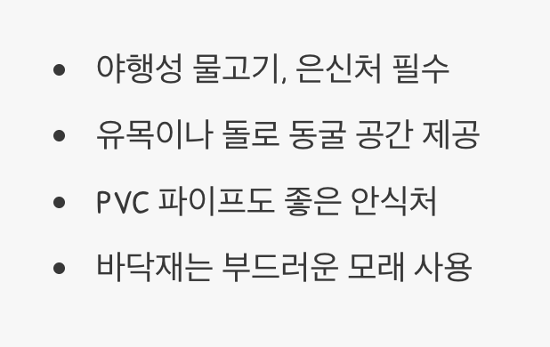 용의 안식처&amp;#44; 어항 꾸미기