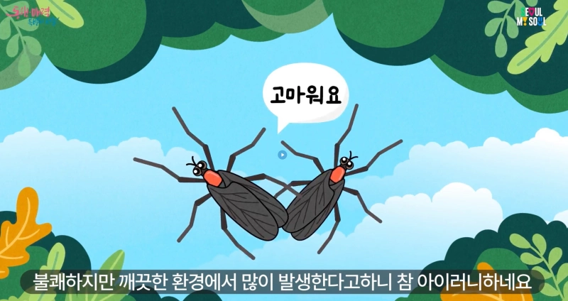 러브버그 장마