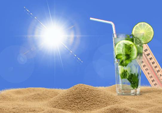 러브버그 출몰 시기