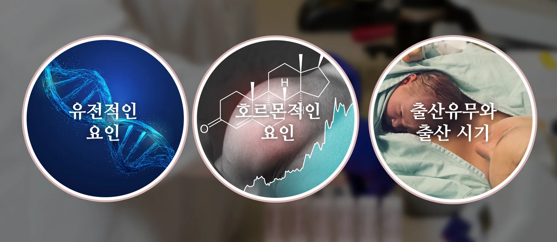 암발병을-높이는-위험요인