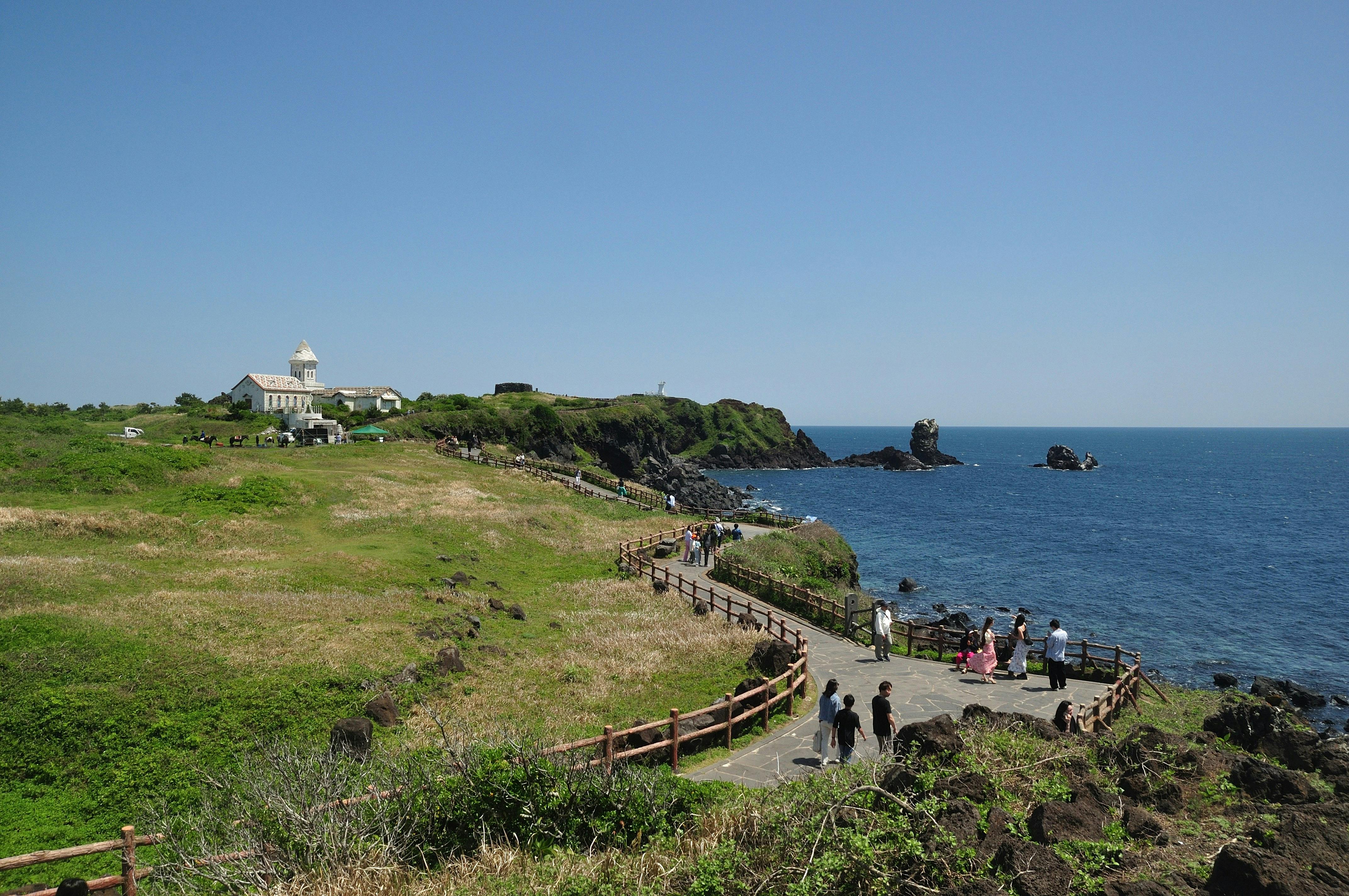 제주도 관련 사진