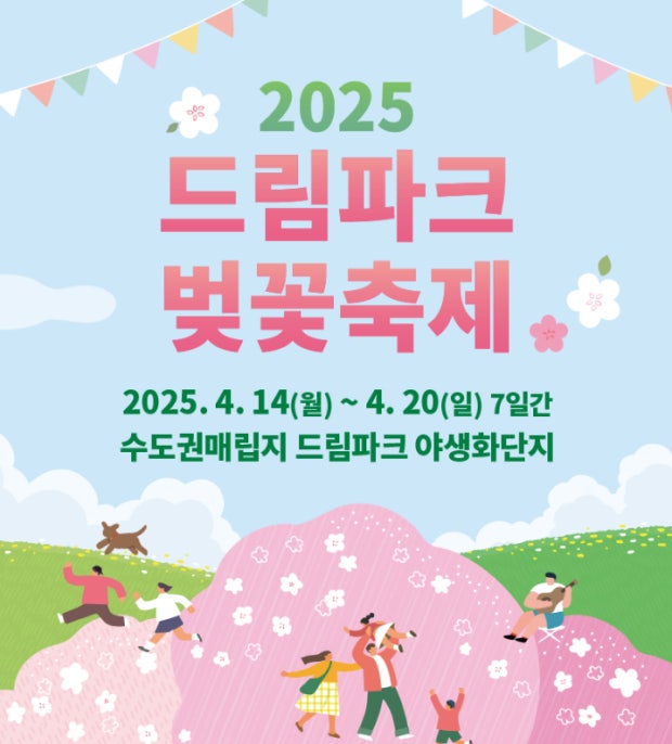 2025 드림파크 벚꽃축제 관련 사진 