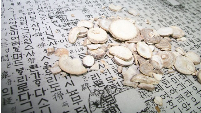 옛날 글씨가 쓰여 있는 종이 위에 천남성을 편으로 잘라 놓은 것을 여러개 흩어 놓은 사진