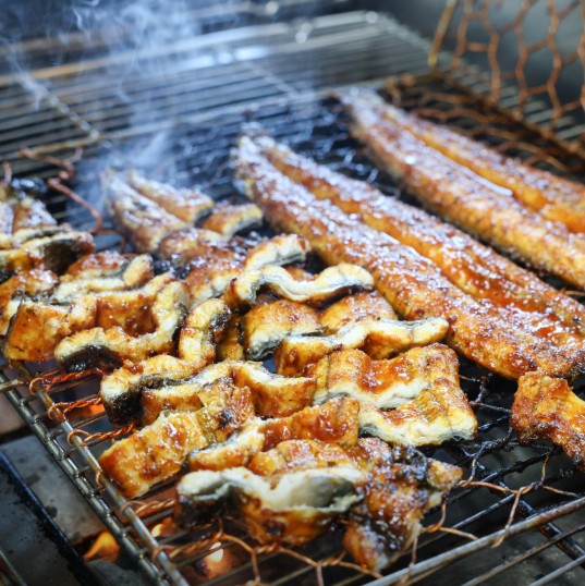 6시내고향 고향투어 고창 갯벌장어구이식당