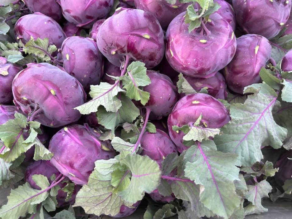 제주 콜라비 효능