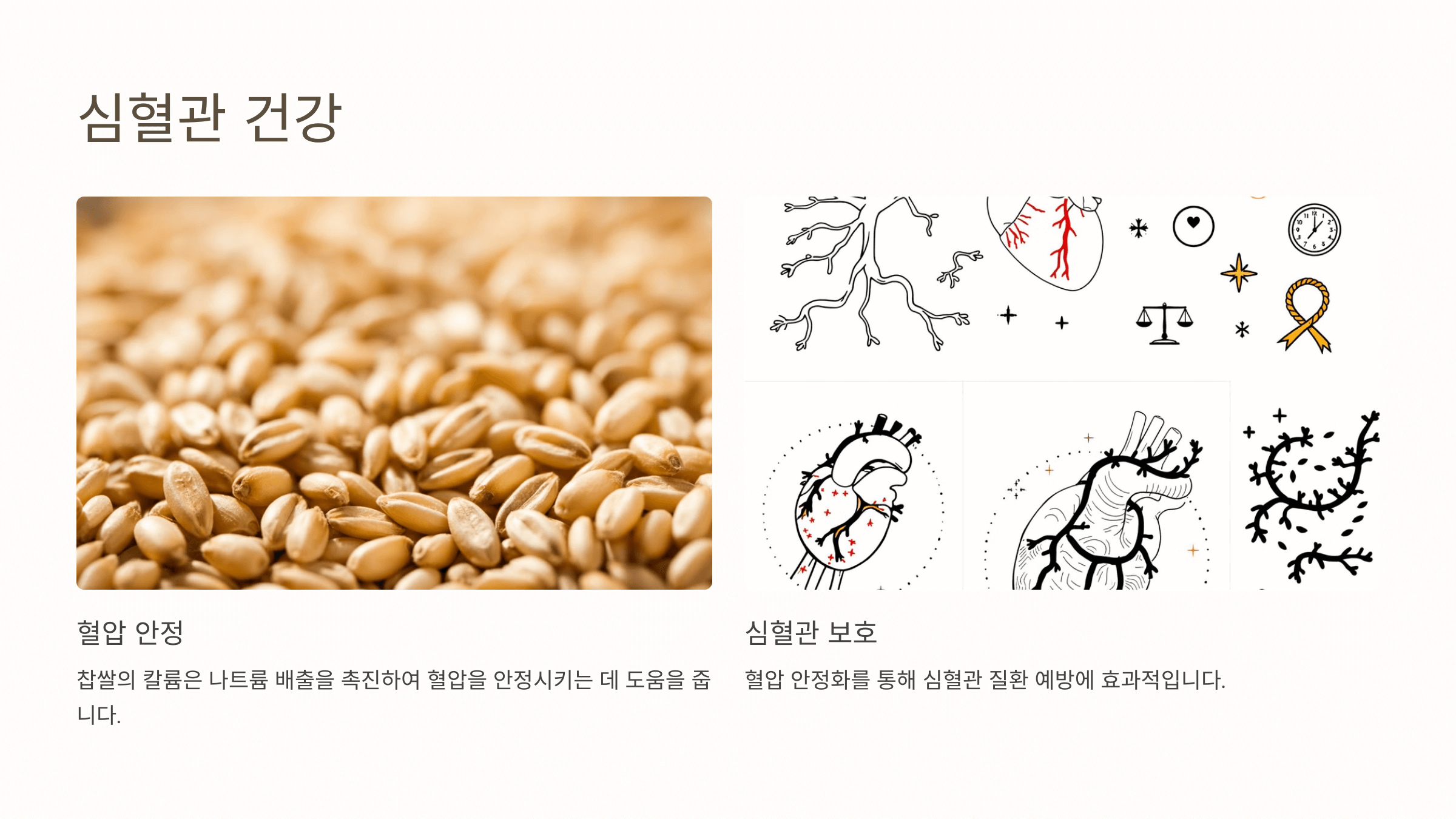 찹쌀 사진입니다.