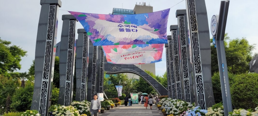장생포 수국축제 울산