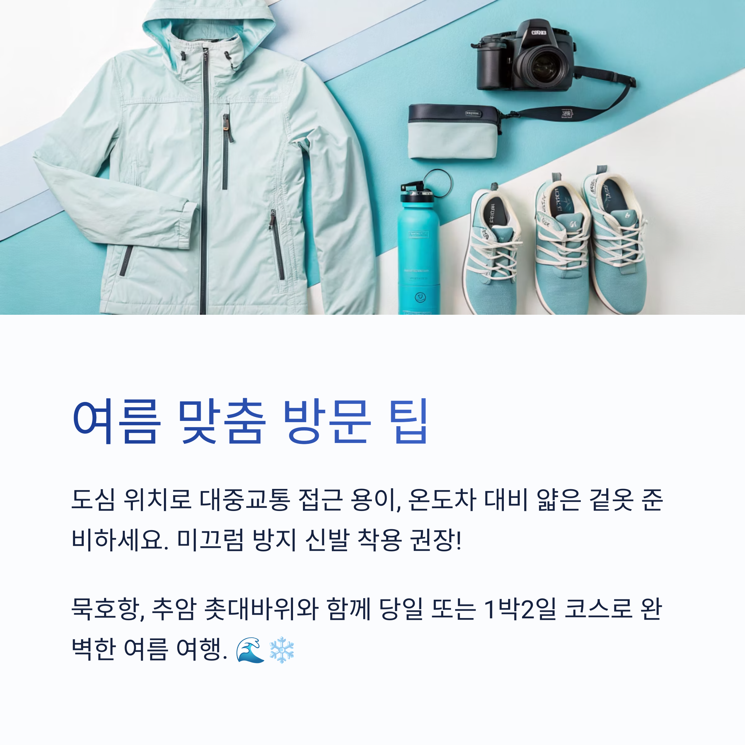 여름 맞춤 방문 팁