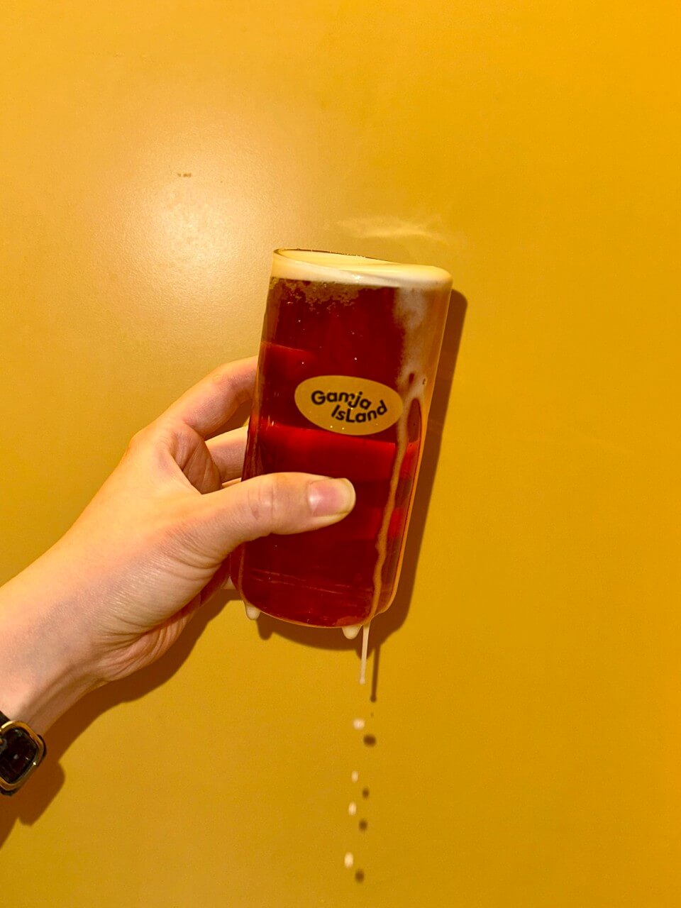 6시내고향 강원 춘천 여행 코스, 감자아일랜드 양조장, 칠남매감자빵, 이끼 체험 김유정역 이끼정원, 킹카누 나루터, 삼악산 호수 케이블카