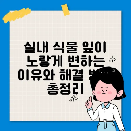 실내 식물 잎이 노랗게 변하는 이유와 해결 방법 총정리