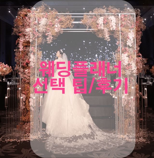 웨딩플래너 고르는 팁/후기