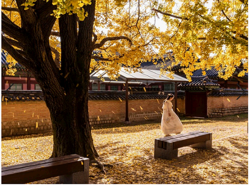 추석 가볼만한 곳 무료