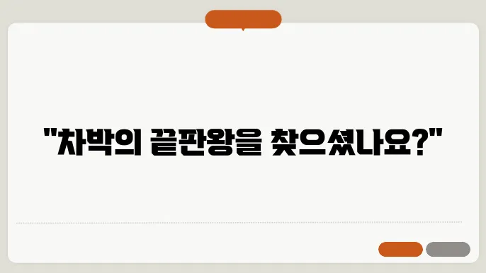 차박하기 좋은차