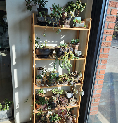 파주 금촌 디디에 카페 내부 사진