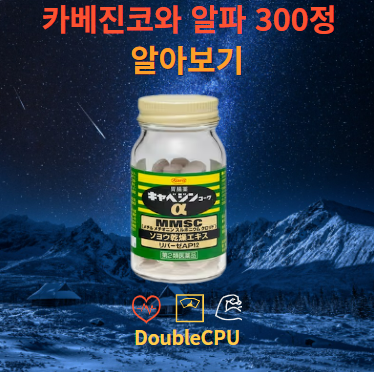 카베진코와 알파 300정