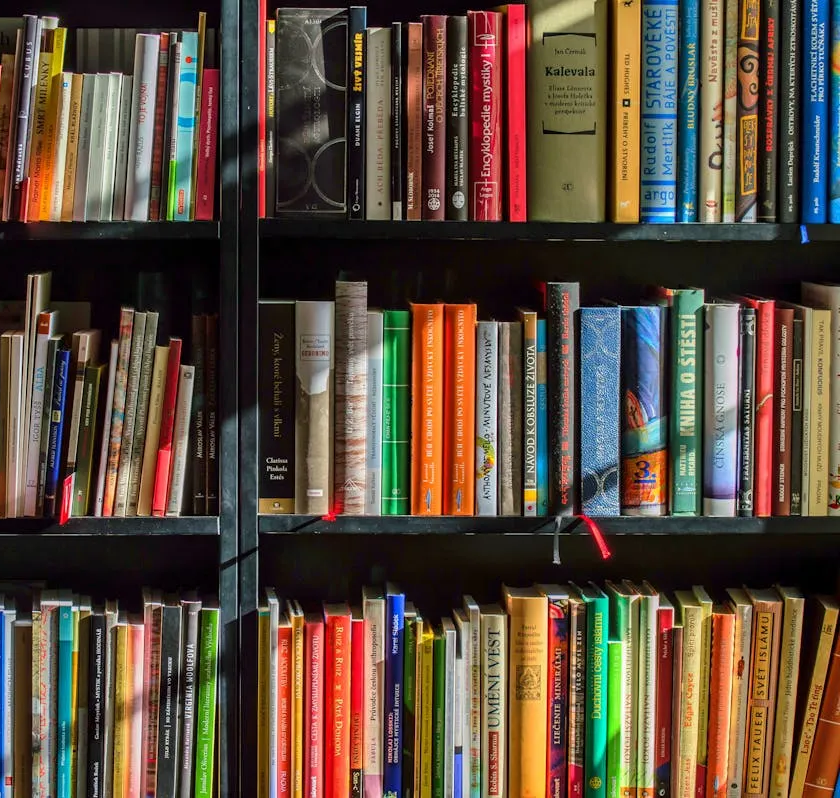 낫다-낳다-정확한-맞춤법-낳-낫