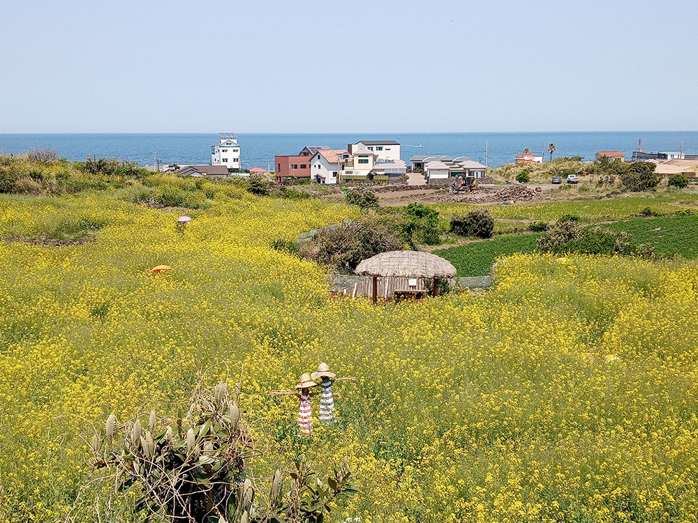 올레길 18코스: 간세라운지x관덕정분식에서 조천만세동산까지