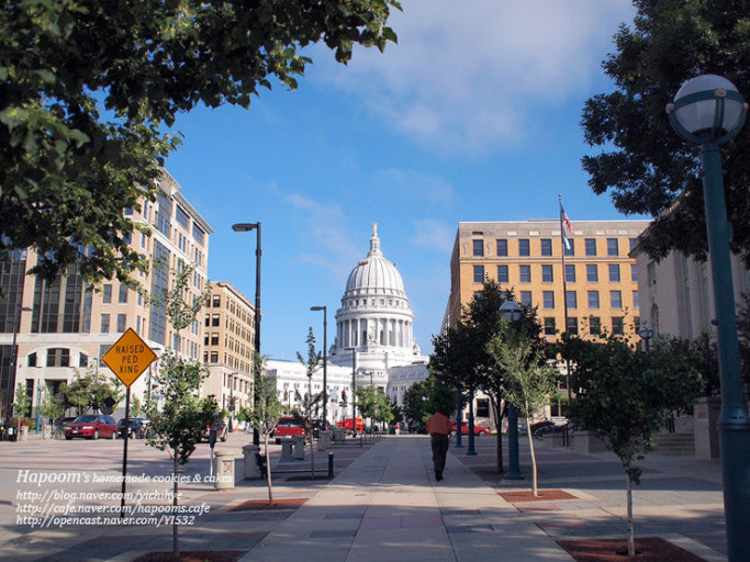 위스콘신 주 매디슨