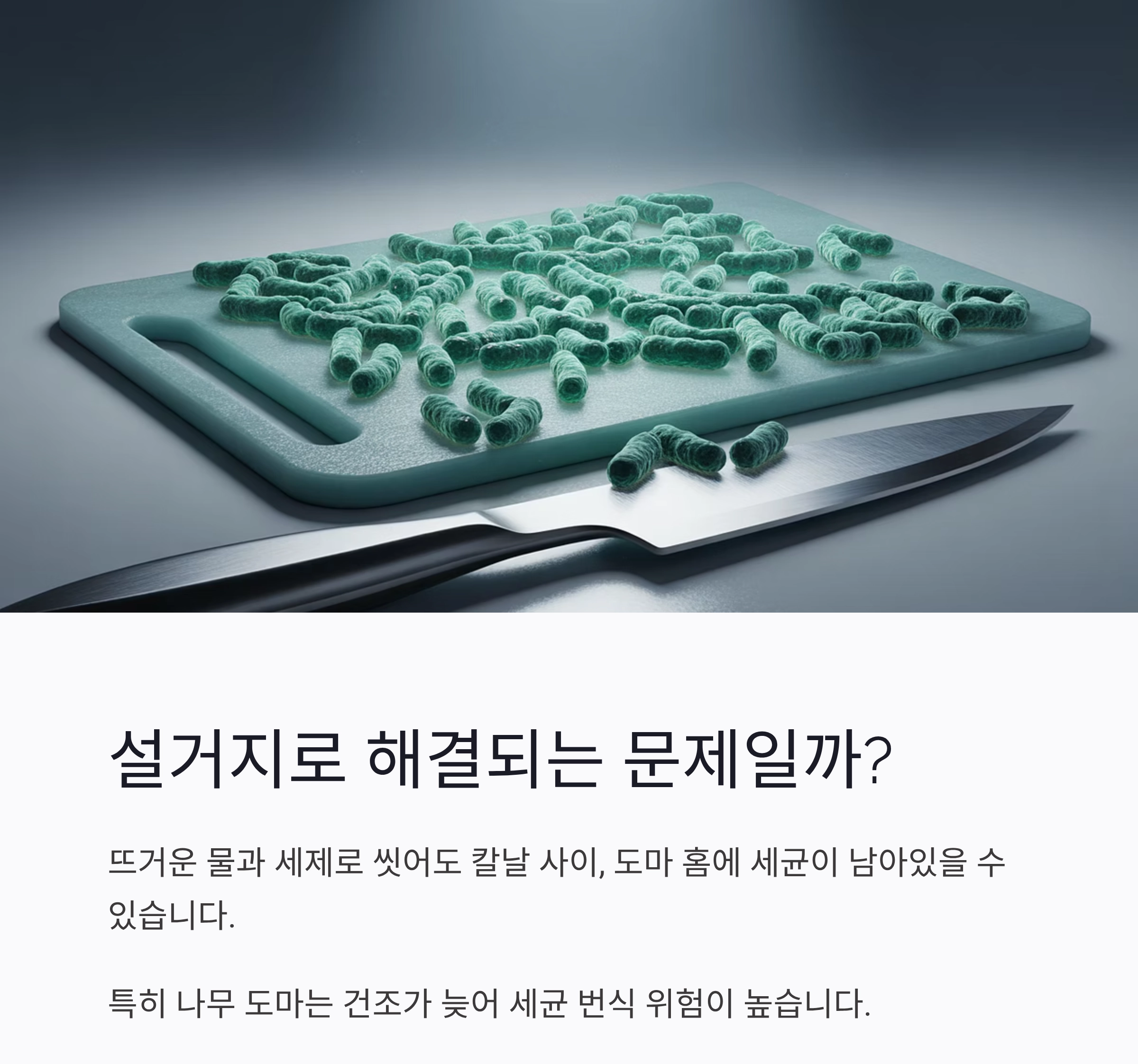 요리할 때 칼과 도마를 구분해서 써야 하는 진짜 이유