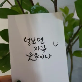 캘리크라피 글귀 모음 명언 문구 모음집_13