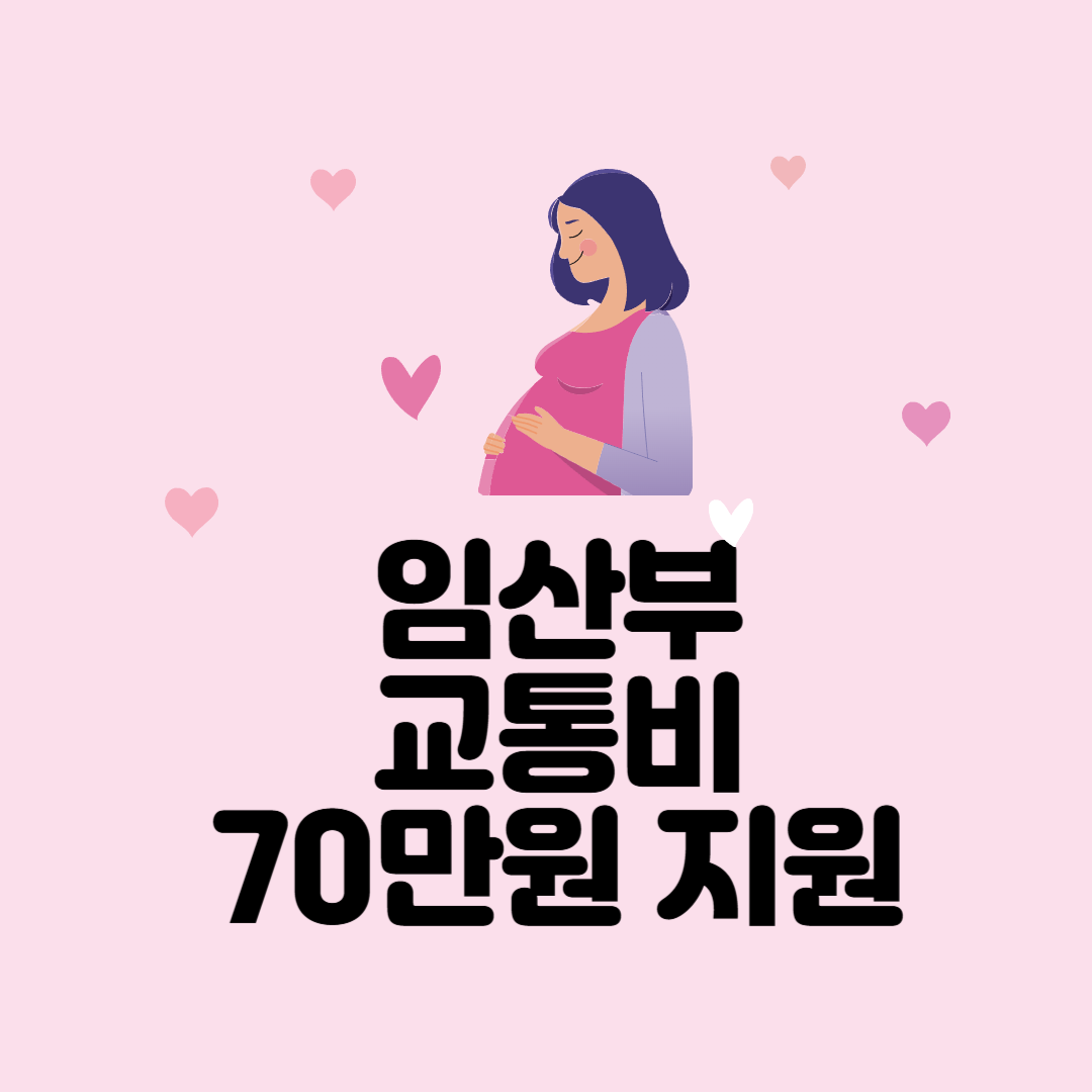 서울시 임산부 교통비 70만원 지원 / 신청 방법과 주의사항