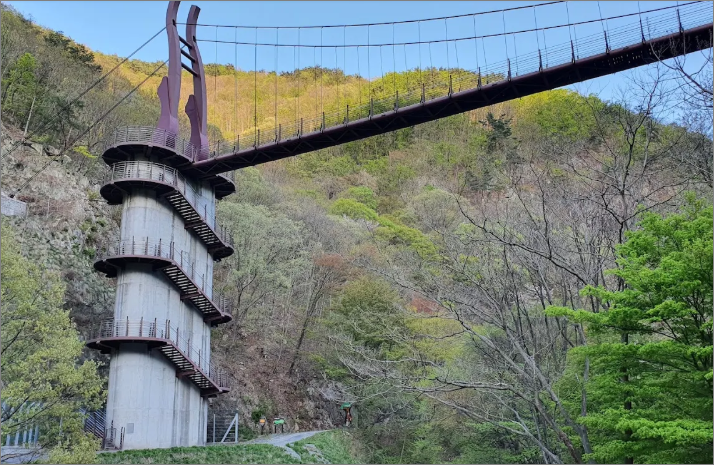 금산 자연휴양림