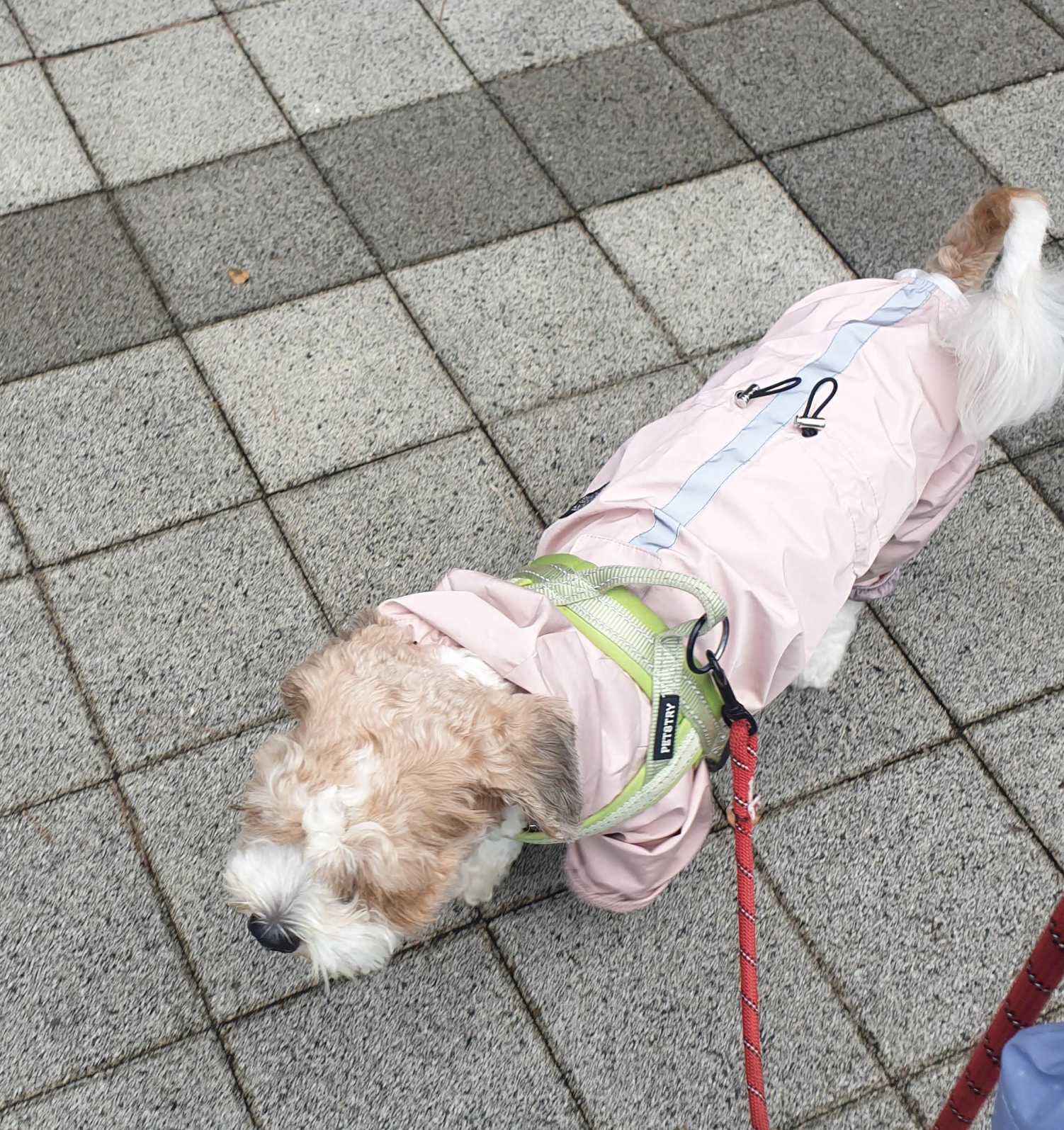 빗방울이 살짝 떨어지기 시작해서 우비를 입혔어요^^