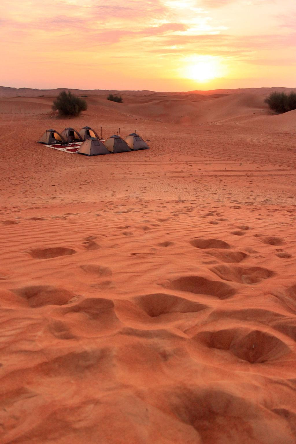 코첼라 티켓 구하는 방법 3가지 확인하러 가기