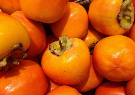 [10월 11월 12월 제철과일] 덜익은 감 빨리 익히는 법