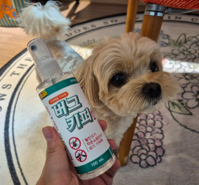 모기기피제추천
벌레기피제추천
강아지진드기기피제추천